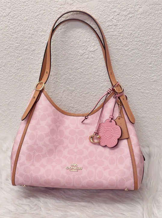 coach erin women's bag